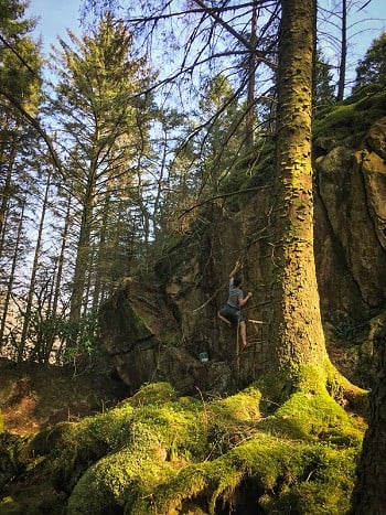 The Voltage on the vertical, bouldering in the woods just outside of Beddgelert  © Alex Haslehurst