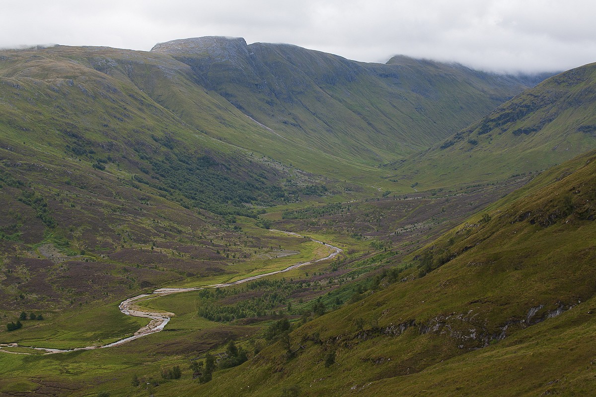 Re-afforestation, as here in Glen Affric, could totally transform many of our bare upland valleys  © Dan Bailey
