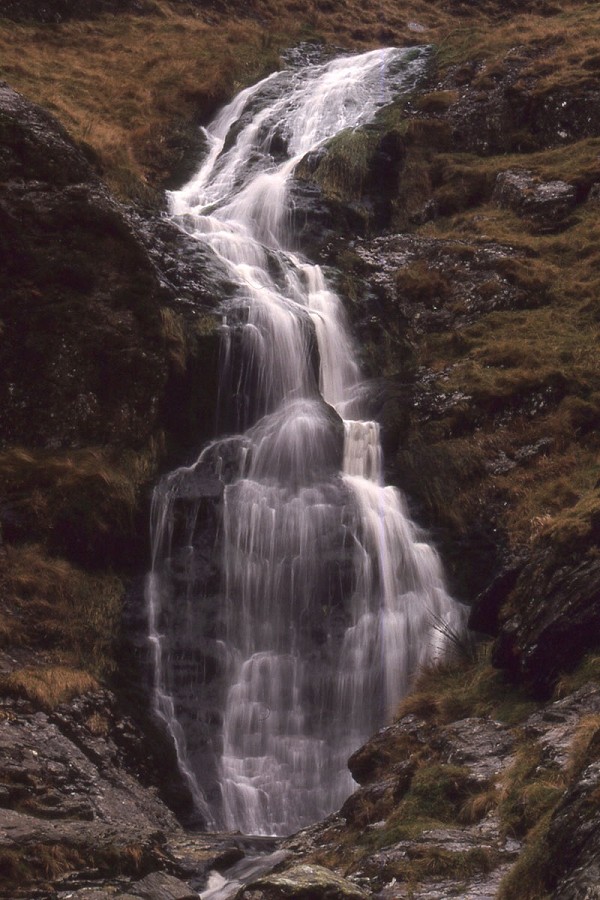 He was very taken with Moss Force, Newlands  © Ronald Turnbull
