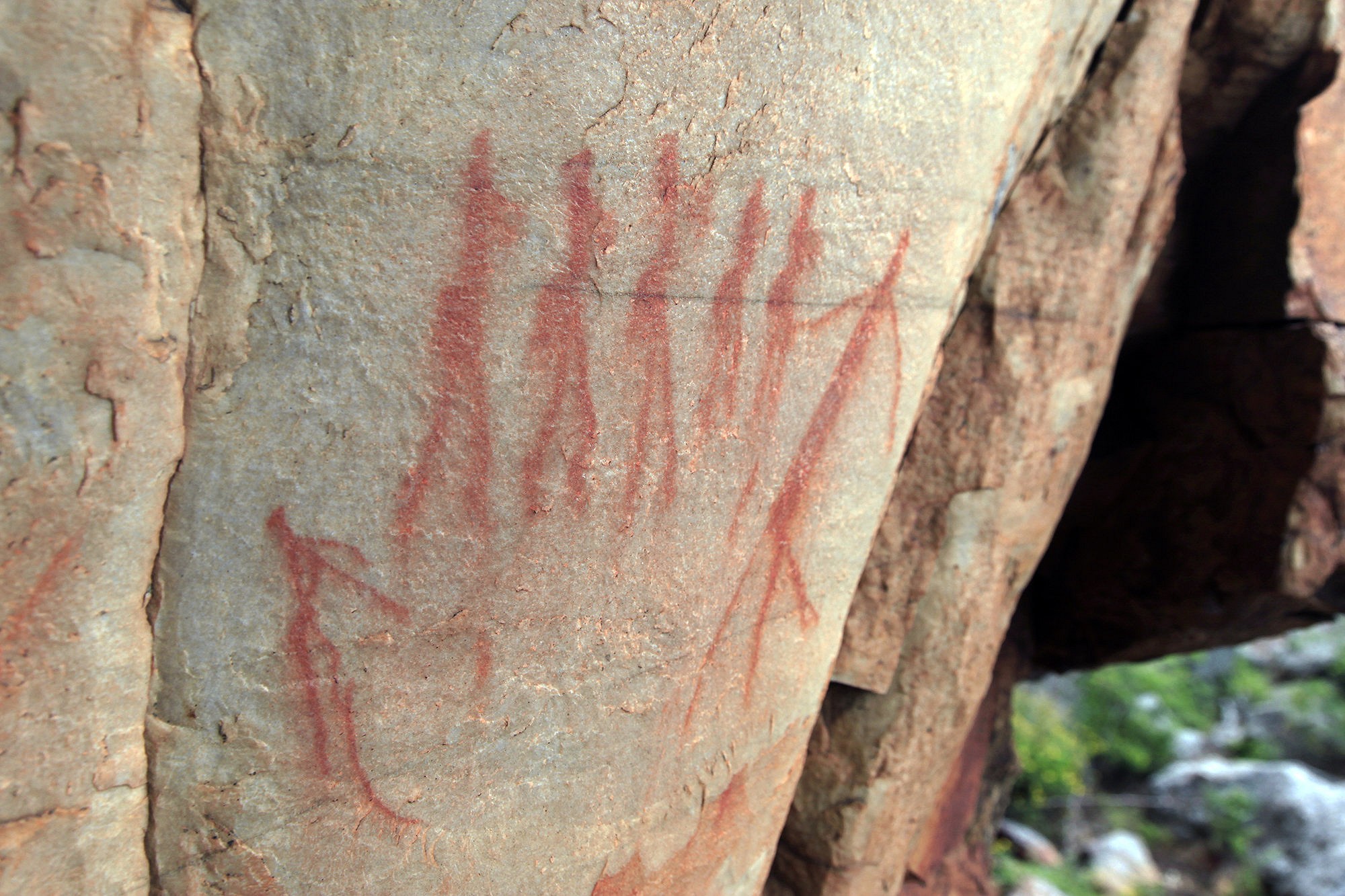 Ancient rock art in the Cederberg. Humans made striking representations of their environment and behaviour,  © David Pickford