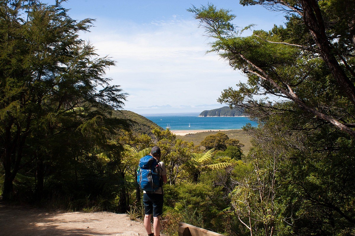 Looking over one of the Abel Tasman's many pristine beaches  © Calum Wadsworth