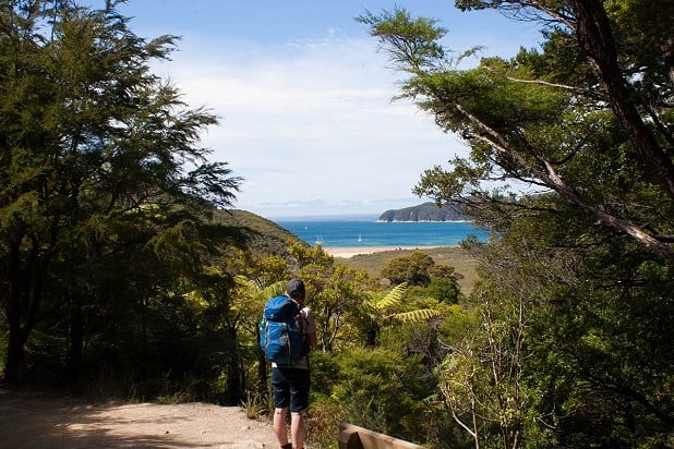Looking over one of the Abel Tasman's many pristine beaches  © Calum Wadsworth