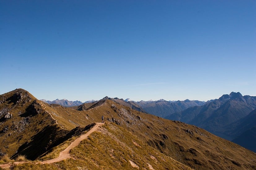 On the magnificent open ridges of the Kepler Track  © Calum Wadsworth