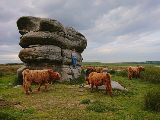Baslow bouldering with a herd of spotters.   © Keith Swainson