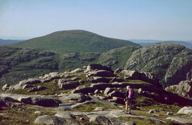 Galloway granite – it's what the Caledonian Orogeny was for  © Ronald Turnbull