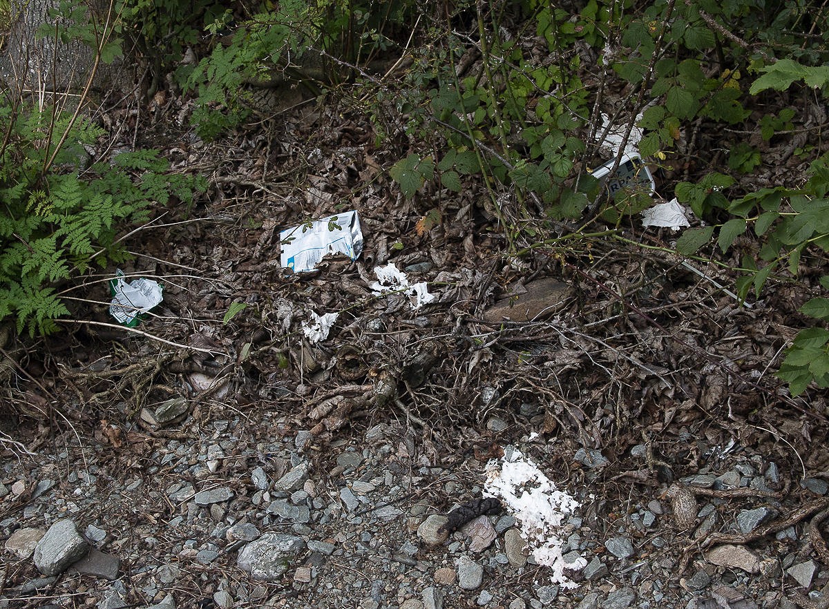 Litter and toilet waste blight many roadside locations  © Dan Bailey