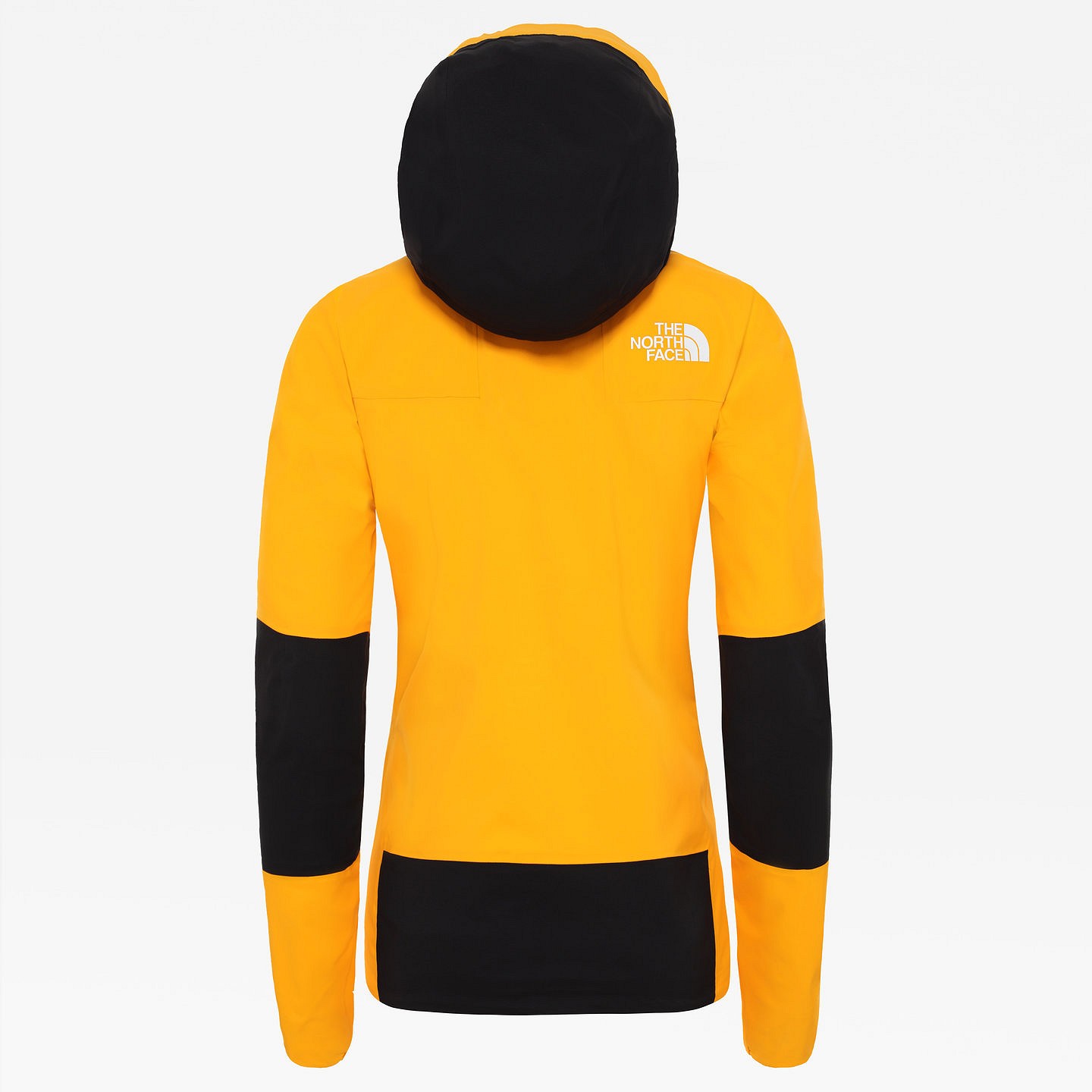 WOMENS SUMMIT L5 FUTURELIGHT™ JACKET Back  © The North Face