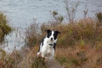Bob enjoying the scottish lochs and hills.