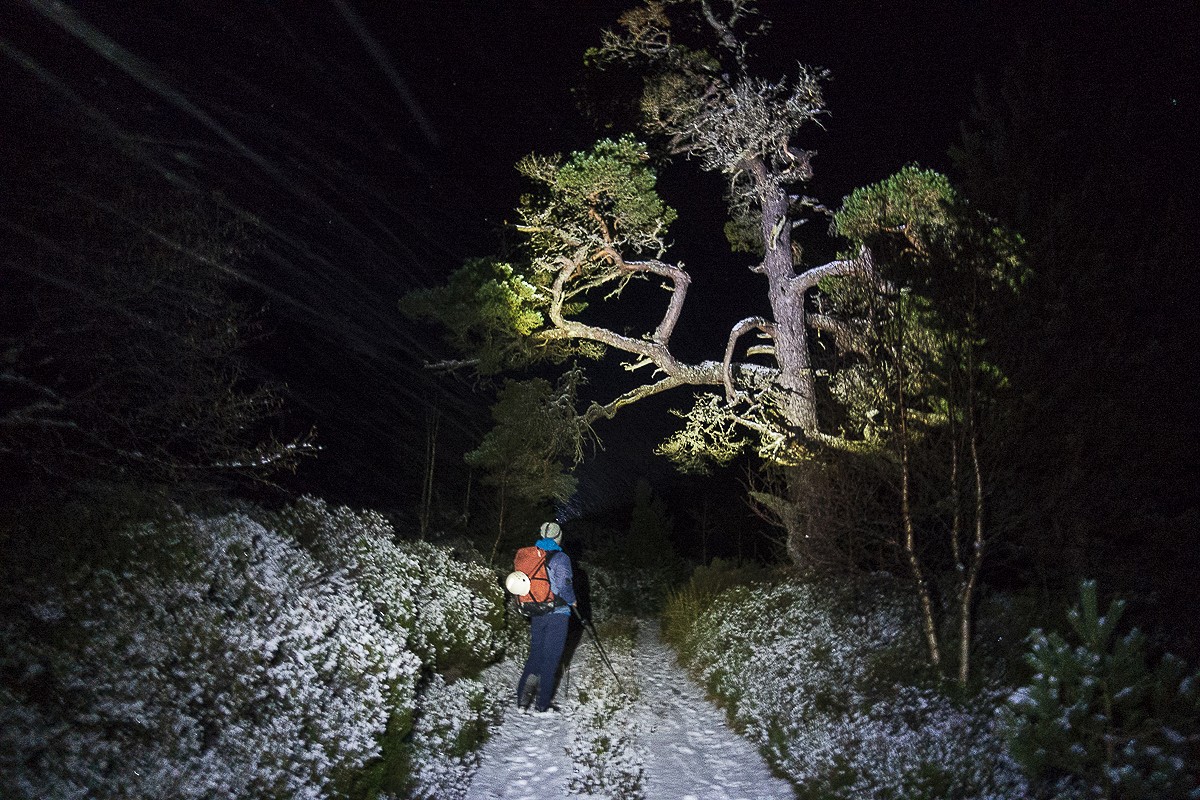 Small, reliable, powerful, long-burning, easy to operate... does one headtorch tick all our boxes?  © Dan Bailey