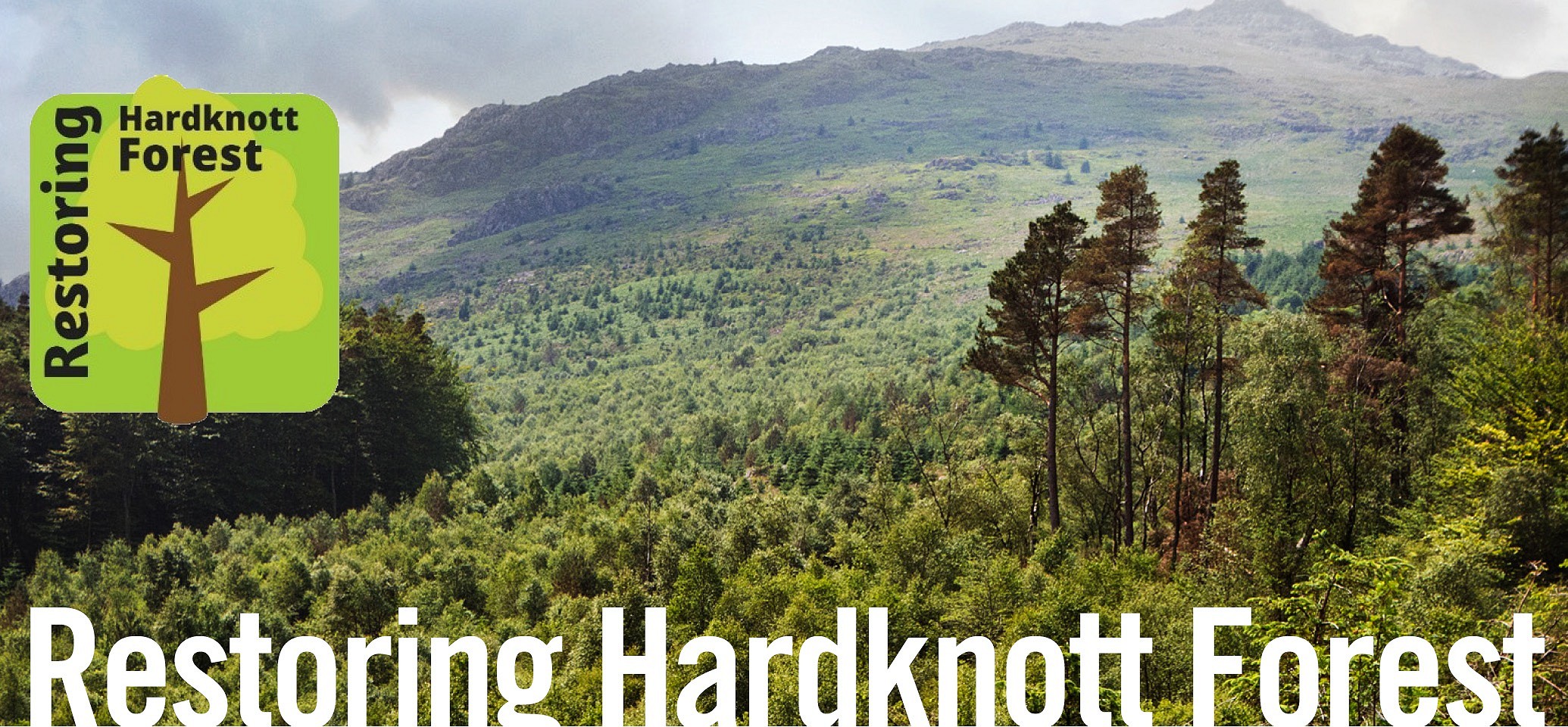 Restoring Hardknott Forest  © Restoring Hardknott Forest Project