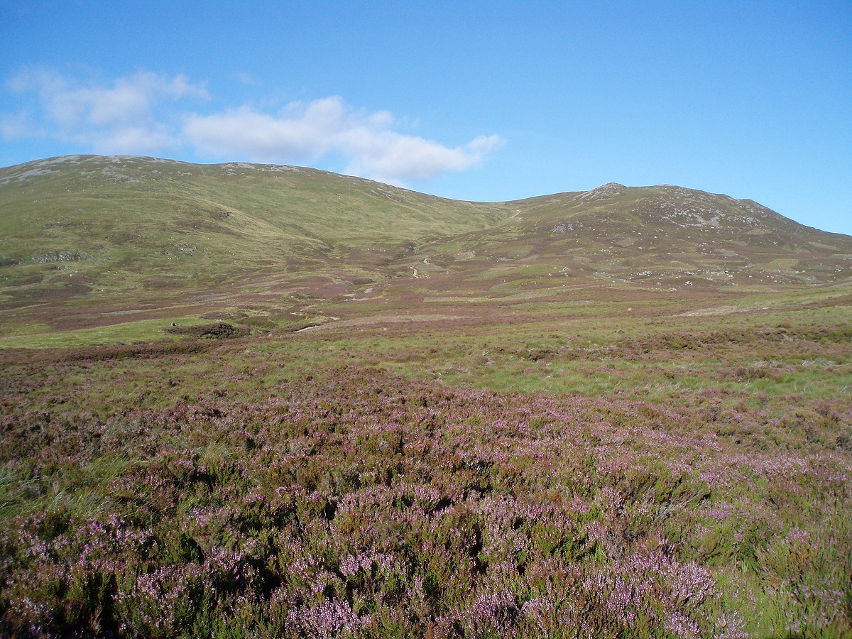 The heather landscape we know today owes its existence to moorland management  © Scottish Land and Estates