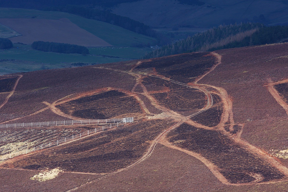 Hill tracks crisscross the grouse moors, unaffected by the planning system  © REVIVE
