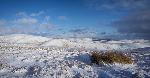 Miles and miles of nothing but Northumberland.  © Russell Lovett