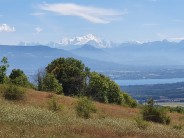 Mont Blanc from across Lake Geneva