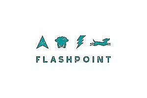 Head Coach Flashpoint/Freedog Swindon
