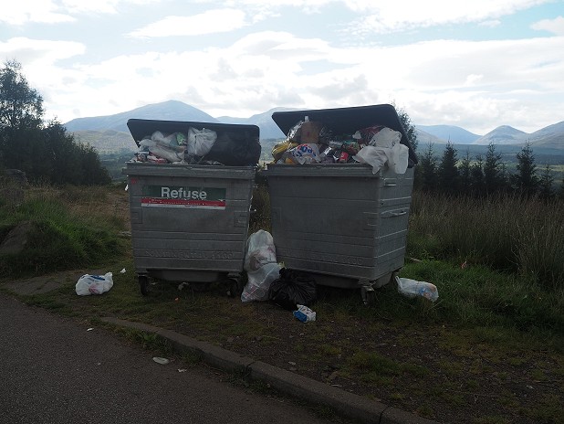 If the bins aren't emptied often enough, is it any wonder they're overflowing?  © Emily Donoho