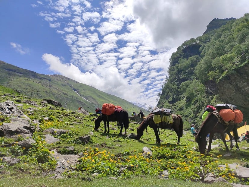 Idyllic greenery on the Hampta Pass trek, Himachal Pradesh  © Manish Kabadval