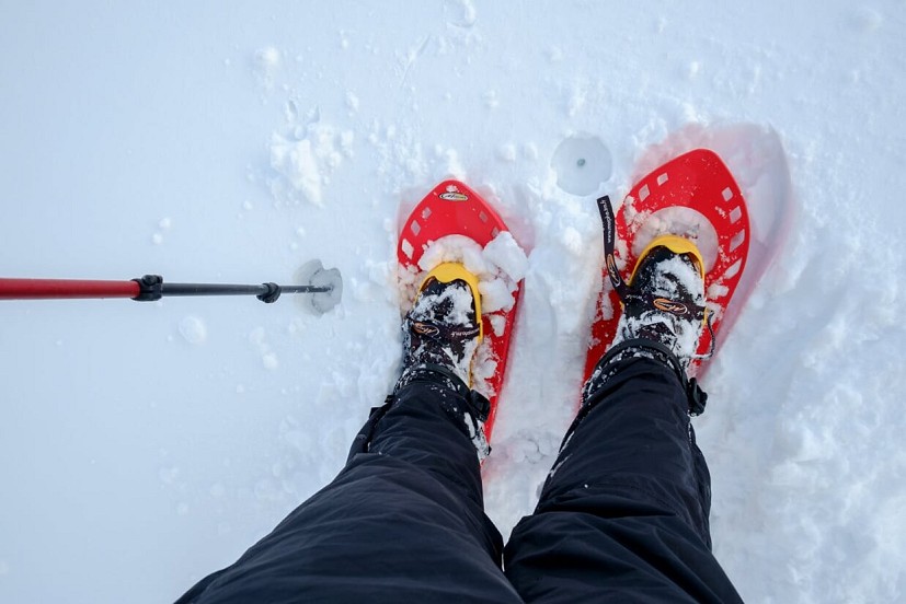 These cheaper plastic snowshoes got the job done for a while, but didn't last well  © Alex Roddie