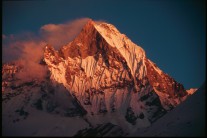 Machapuchare from ABC