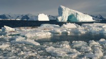 Polar Ice Floes