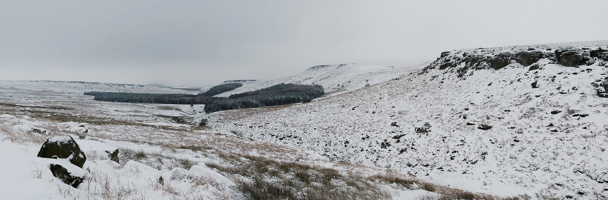 The view from Burbage Bridge before the trees were felled.  © Nick Brown - UKC
