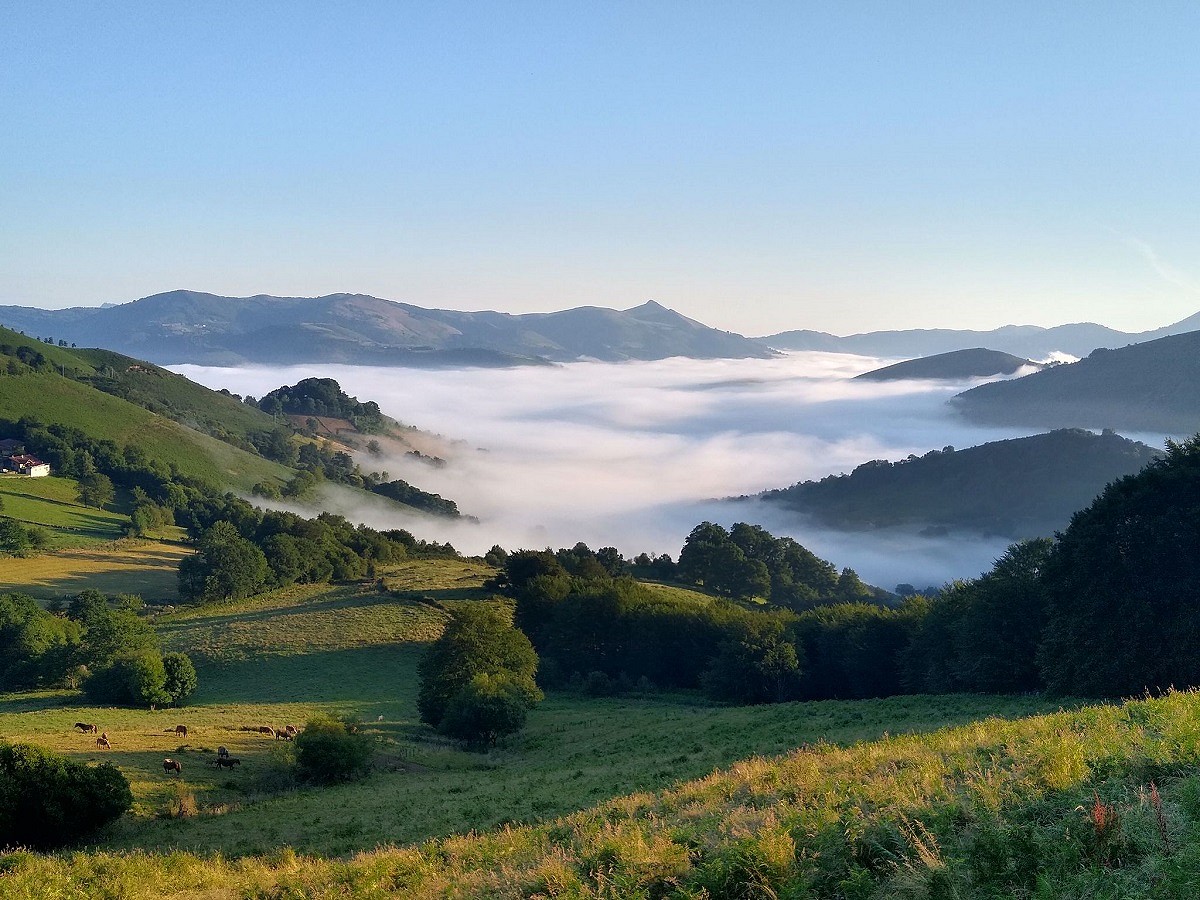 A sunrise cloud inversion in the wooded hills of Navarra  © Mike Coppock