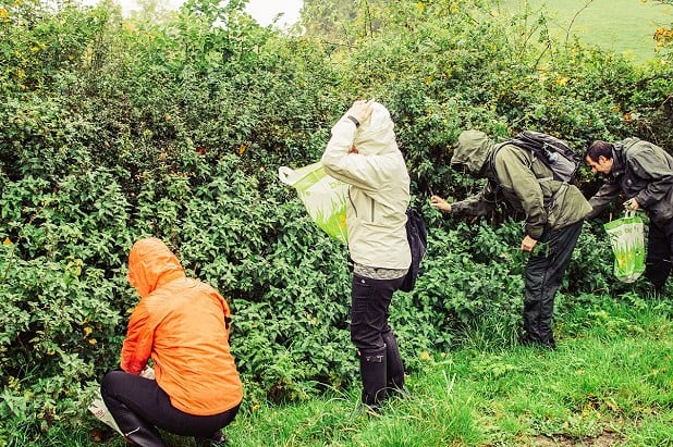 Foraging is an ideal any-weather activity, and one that you can enjoy close to home even in lockdown  © Richard Prideaux