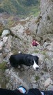 Who says dogs can't climb?
A great day in the Carneddeu