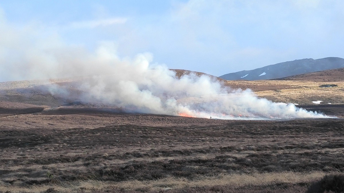 Burning for grouse moor management keeps huge areas of uplands in an impoverished state  © REVIVE