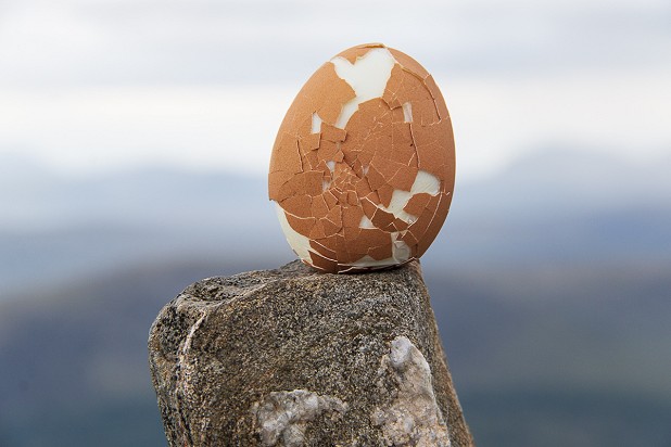 OK, we ran out of eggciting ideas for images here  © Dan Bailey