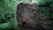 Scorguie Boulders - Walk The Dog