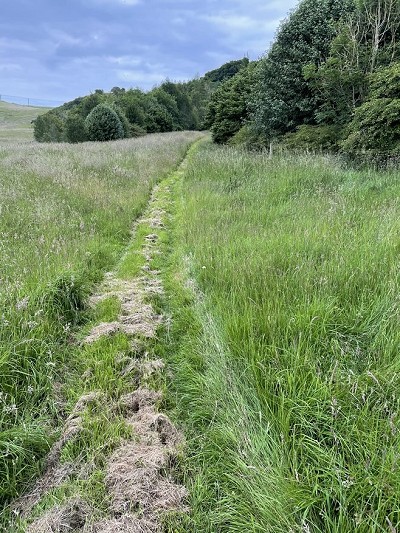 A previously 'hidden' path in Fife  © Ramblers Scotland