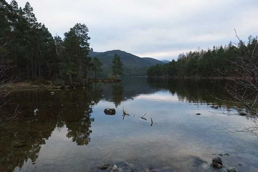 Pause for reflection, Loch an Eilean  © Dan Bailey