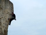 John Pullin showing the trick on Pump Me Tenderly, 6c+ (5+ for the tall!)