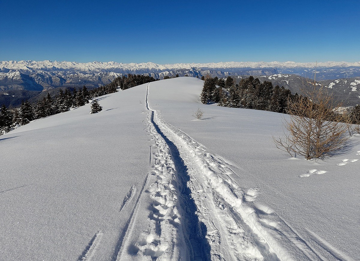 A huge view from the top of Monte Cogne  © Cecilia Mariani