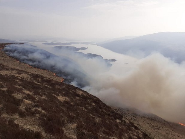 A fire affected new woodland above Loch Lomond  © Ben Lomond Ranger Service