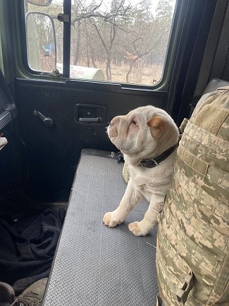 Alma on watch duty in a military vehicle.   © 128th Separate Mountain Assault Transcarpathian Brigade.