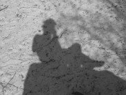 Shadow - sat on a rock somewhere at font