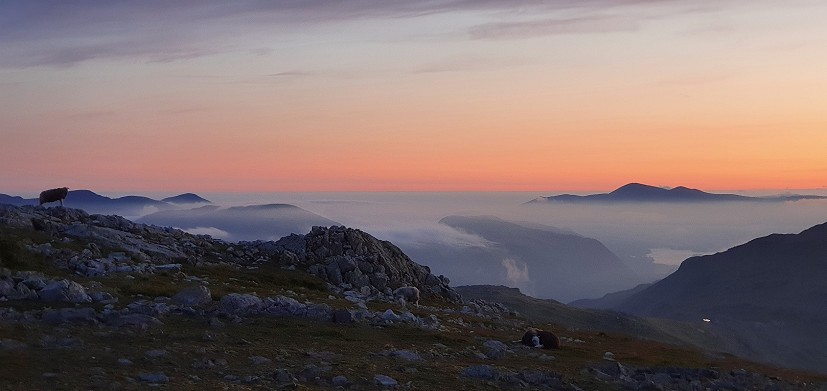 Early dawn inversion from Esk Pike  © Norman Hadley