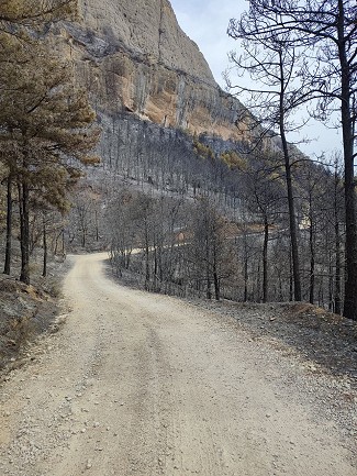 Impact of the fire visible from the road below the crag.  © Dan Forgeng