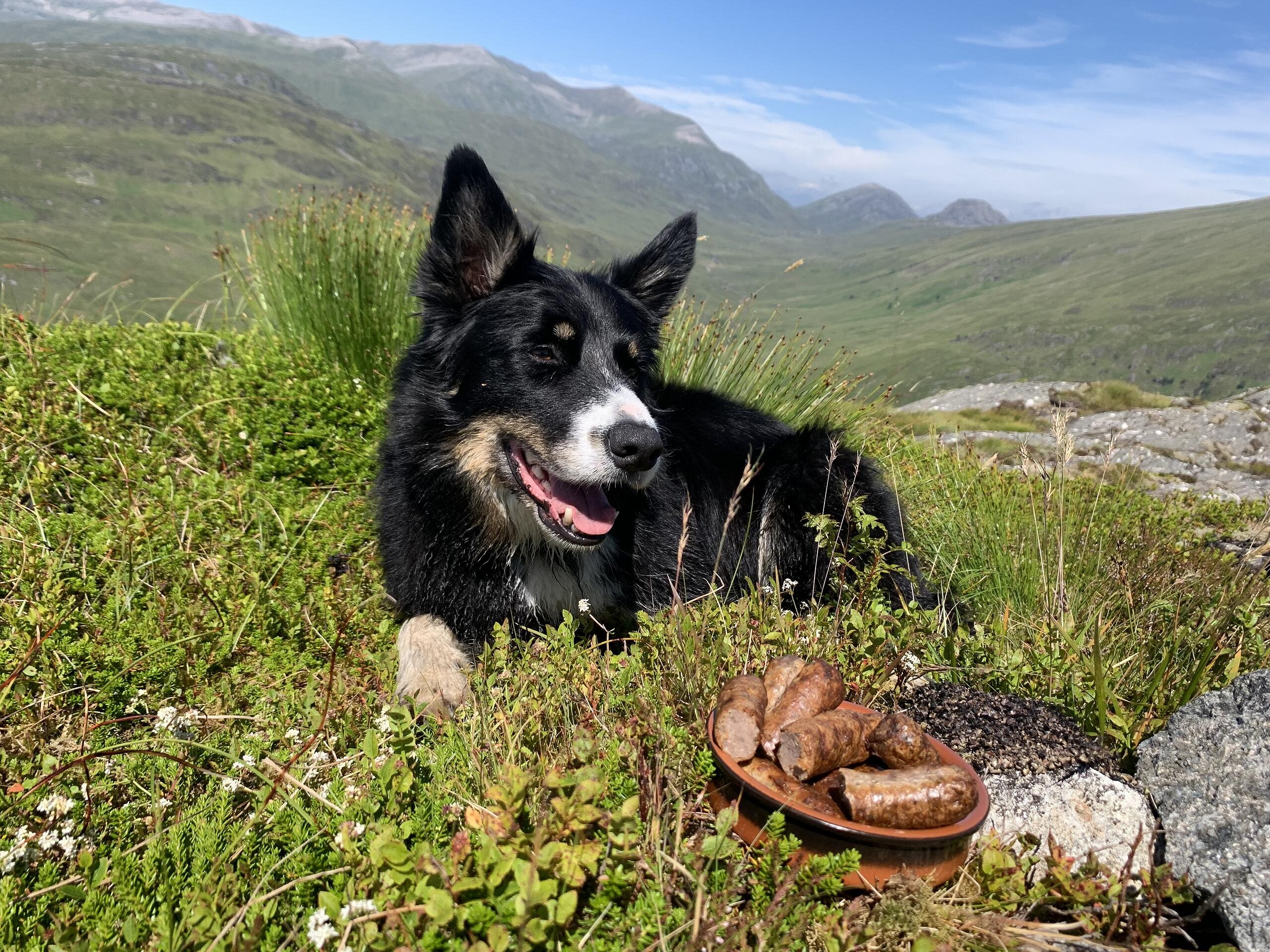 Good Boy of the Grahams: Ralph on Creag Ghuanach - his final Graham - with his well-deserved treat.  © Anne Butler