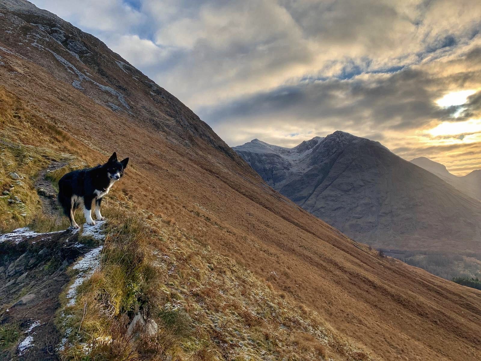 Ralph on the Pap of Glencoe.  © Anne Butler