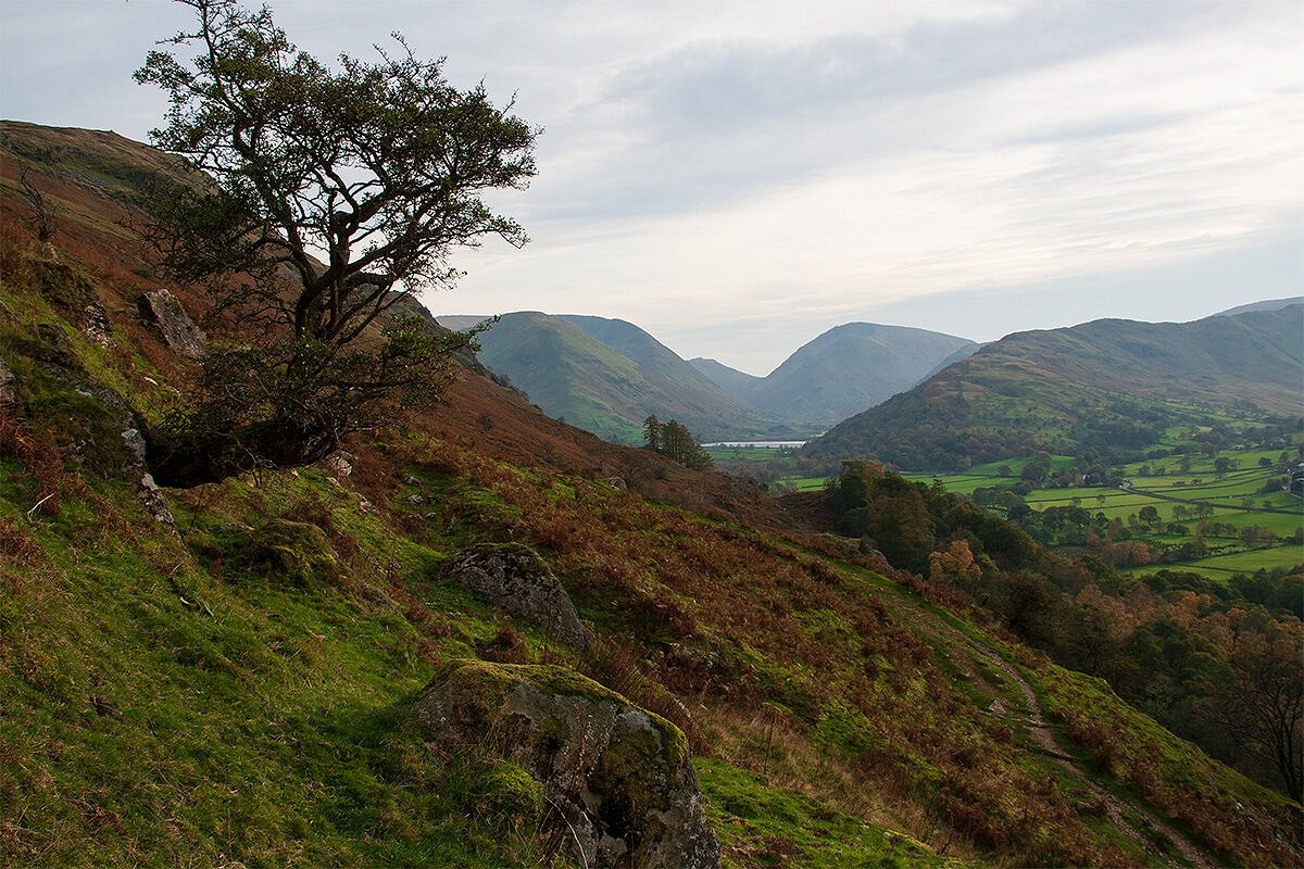 Patterdale from the path up to Boardale Hause  © Dan Bailey