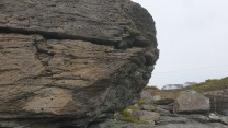 Kiwi boulder