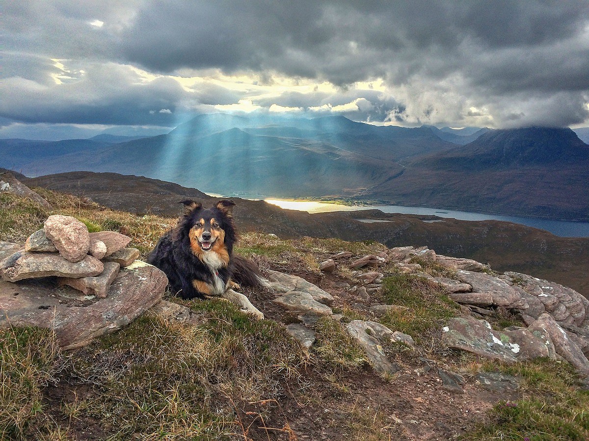 Molly and crepuscular rays on Beinn Ghobhlach  © Anne Butler