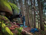 Lichen capped woodland blocks