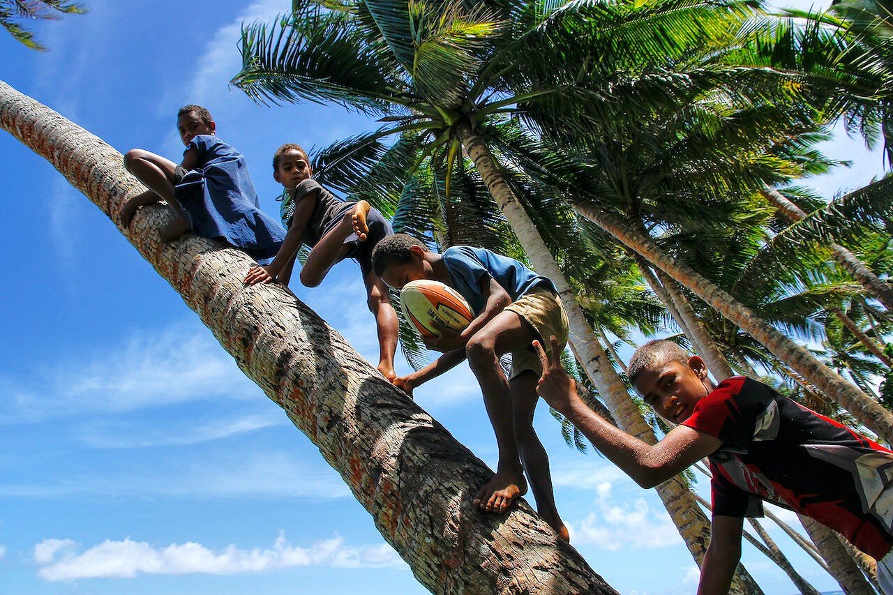 Kids climb palm tree to swing on a rope swing on in Lavena village on Teveuni island, Fiji.  © Shutterstock/Don Mammoser