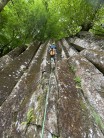 Climbing columnar basalt in the woods!