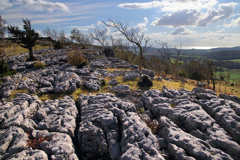Limestone pavement in the south Lakes  © Pixabay
