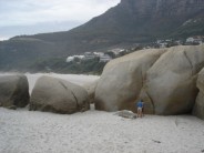 Beautiful granite boulders at Llandudno Beach, Western Cape.